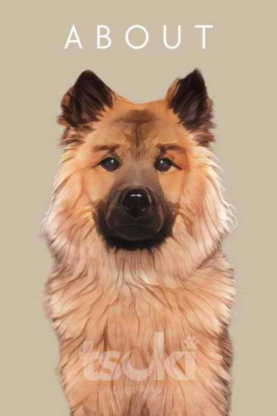 learn about Tsuki and the Eurasier Breed