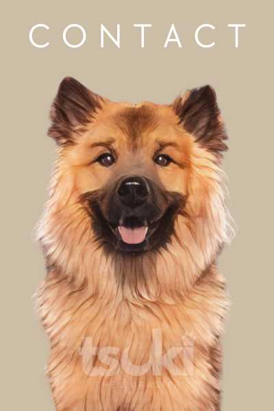 Contact Tsuki The Eurasier